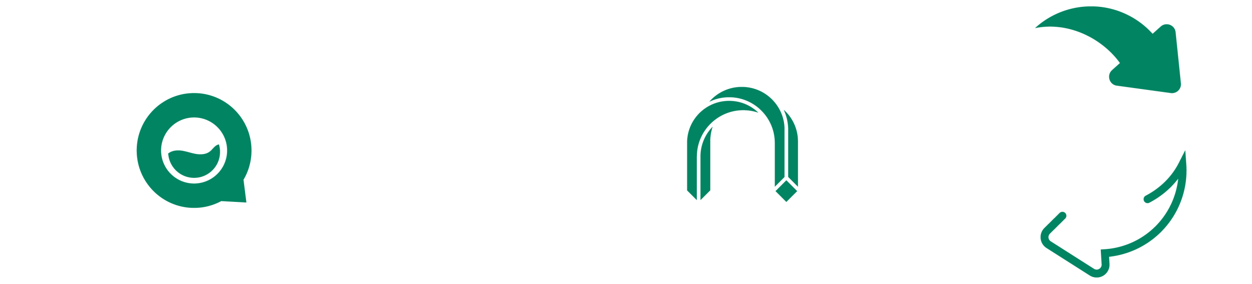 966×219 logo white green-02